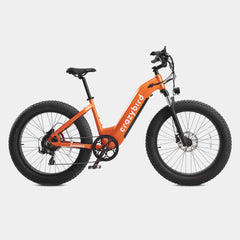 Crazybird Jumper E-Bike - UK - Pogo Cycles