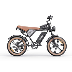 Ridstar Q20 Luxe Electric Bike - Pogo Cycles