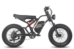 Fafrees F20 Ultra Electric Bike - UK - Pogo Cycles with black wheels