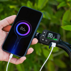 Fiido C11 Pro City Electric Bike