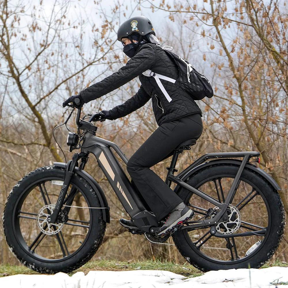 Fiido Titan Robust Cargo Electric Bike - Pogo Cycles