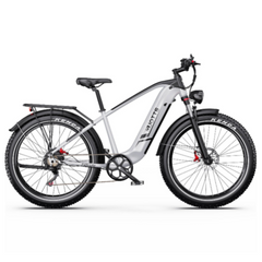 DUOTTS F26 Lite Elcykel