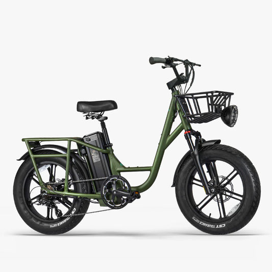 FIIDO T1 pro Electric Cargo Bike v2 2023-udgave