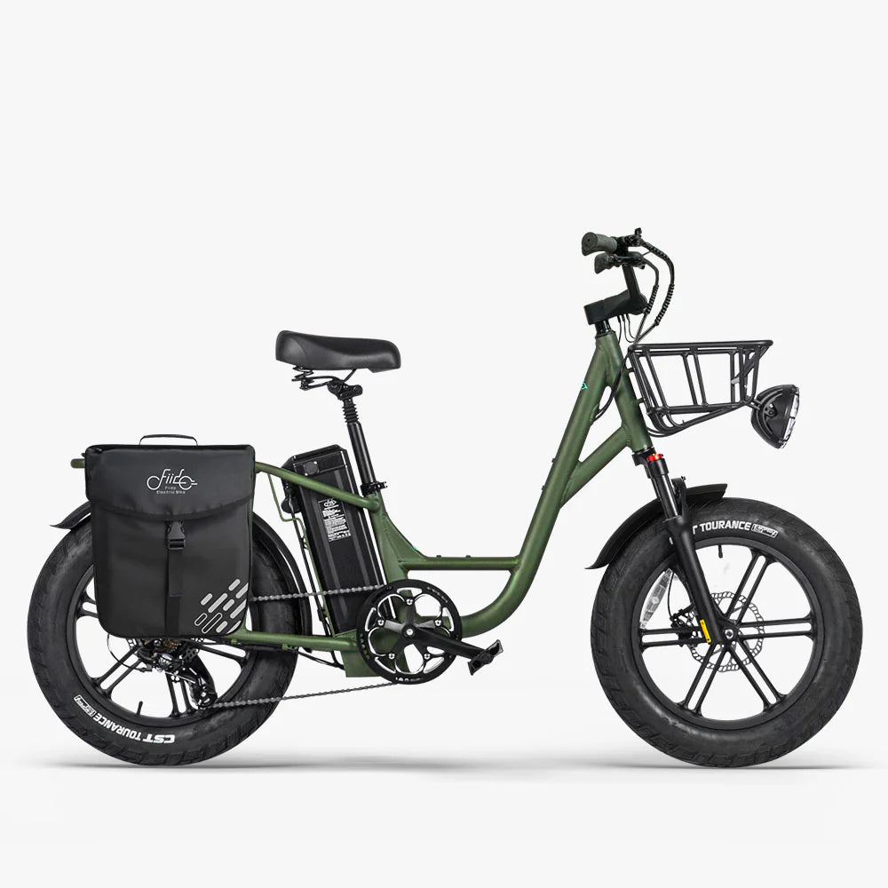 FIIDO T1 pro Cargo  Electric Bike