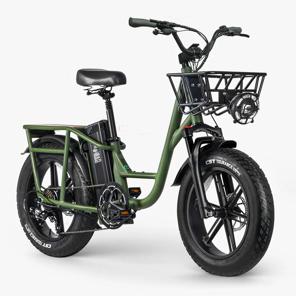 FIIDO T1 pro Cargo  Electric Bike
